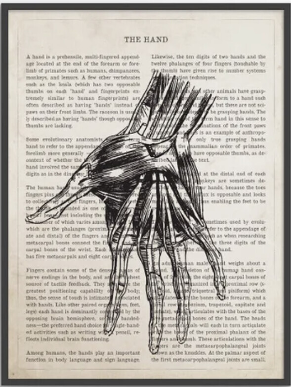 applied-kinesiology-san-antonio-neuro-somatic-recovery-packages
