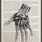 applied-kinesiology-san-antonio-neuro-somatic-recovery-packages