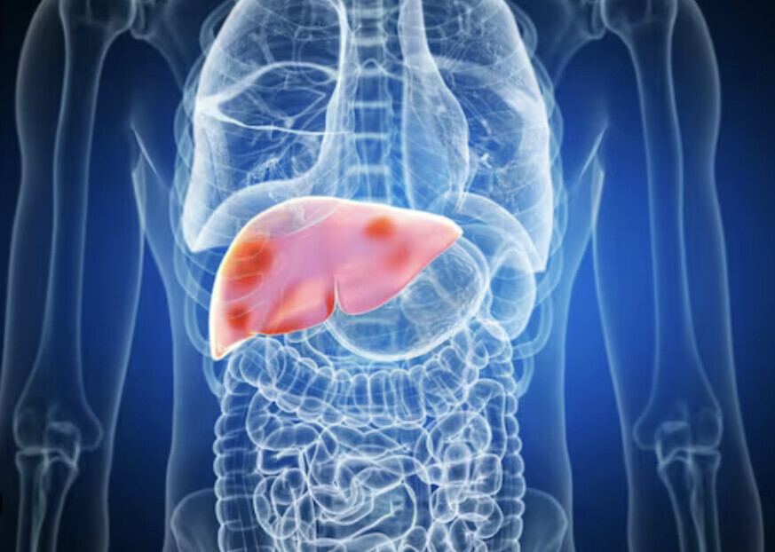 Consistently waking up at 3 AM? Discover how QiKiSol’s Zong Food Protocol uses Eastern medicine circadian methods to balance your liver and restore deep sleep.