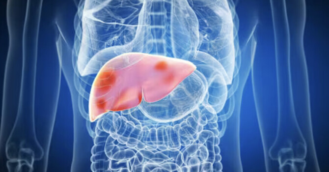 The 3 AM Wake-Up Call: What Eastern Medicine & The Zang Fu Protocol Say About Your Liver image