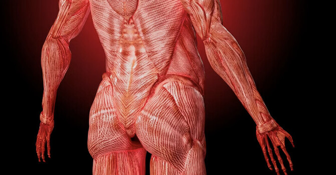 The Sciatica Myth: Why Your Leg Pain Might Not Be Real Sciatica image