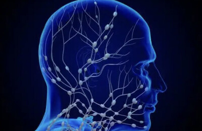 Link to: https://qikisol.com/kinesiology-services/neuro-somatic-visceral-recovery