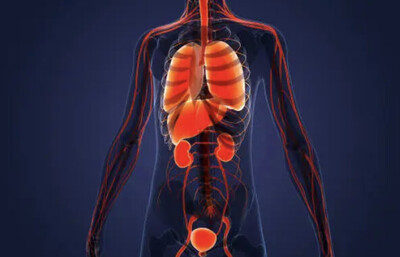 Link to: https://qikisol.com/kinesiology-services/neuro-somatic-visceral-recovery
