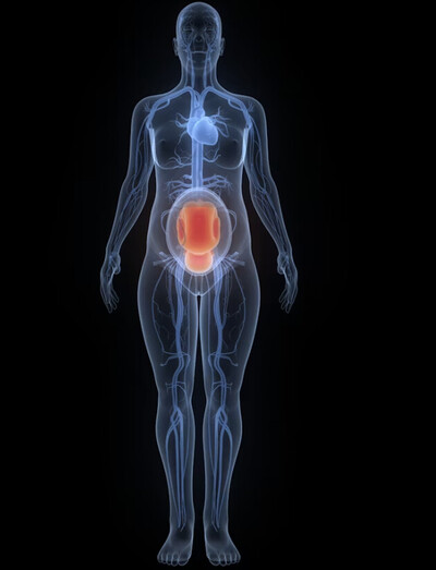 Lower Back & Pelvic Pain
