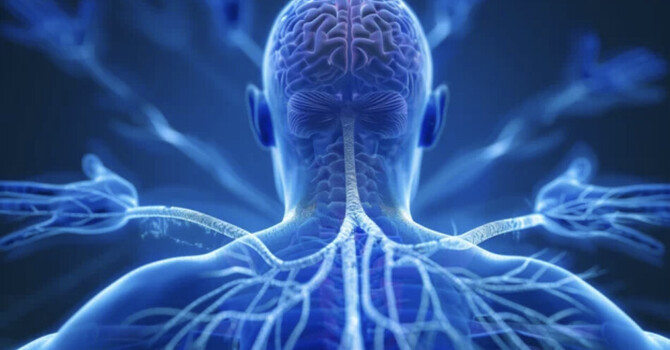 NEURO-SOMATIC ACUPRESSURE