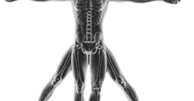 NEURO SOMATIC STRETCH