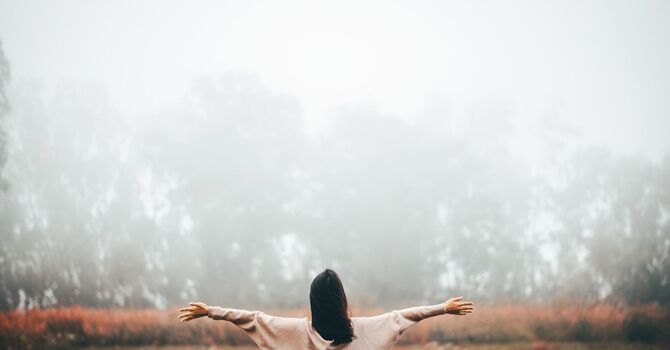 HEAD, NECK, & SPINE